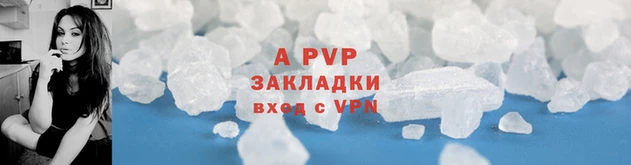 дживик Осинники