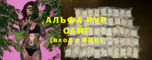 дживик Осинники