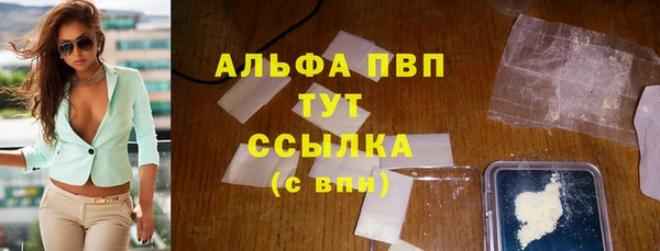 дживик Осинники