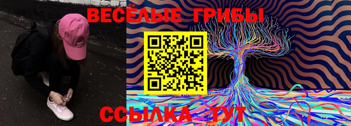 Галлюциногенные грибы Magic Shrooms  наркота  Кунгур  Вход с VPN 