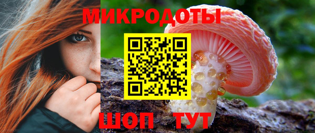 Галлюциногенные грибы Psilocybe Кунгур