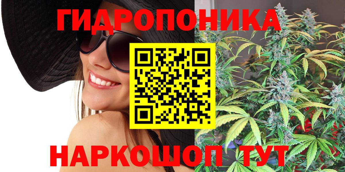 Кунгур  МАРИХУАНА Bruce Banner  Бошки марихуана Ganja  Канабис планчик  Шишки марихуана планчик  Вход с VPN 